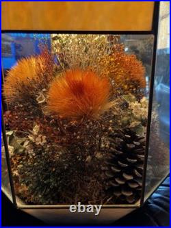 Vintage 1970's Hanging Slag Lamp Terrarium Light Fixture. Tested And Works