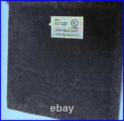 Vintage Rare Grafofoni Columbia Slag Glass Painted Revival Table Lamp